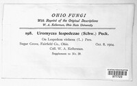 Image Associated With the Occurence